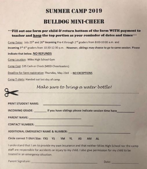 Miles Mini Cheer Camp
